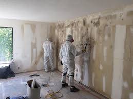 Why You Should Choose Our Mold Remediation Services in Holloman Af, NM